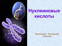 Нуклеиновые кислоты 10 класс