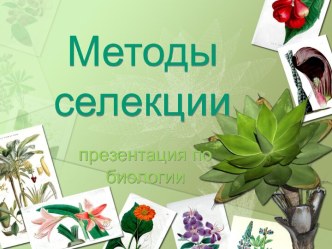 Методы селекции