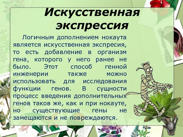 Искусственная экспрессия   Логичным дополнением нокаута является искусственная экспресия, то есть