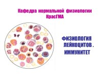 Физиология лейкоцитов и иммунитет
