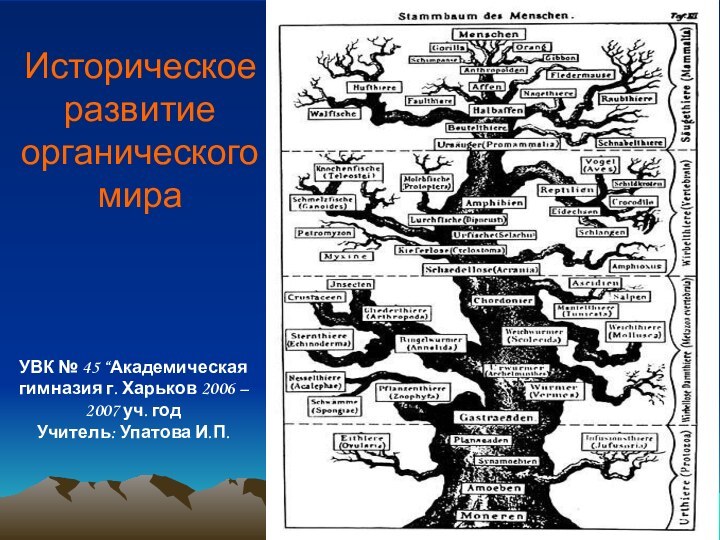 Историческое развитие органического мира  УВК № 45 “Академическая гимназия г. Харьков