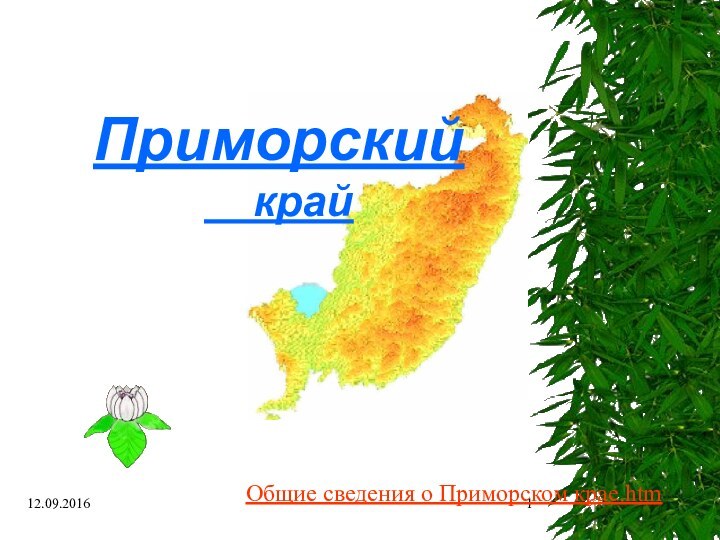 Приморский    крайОбщие сведения о Приморском крае.htm