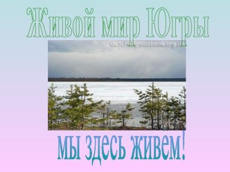 Живой мир Югры