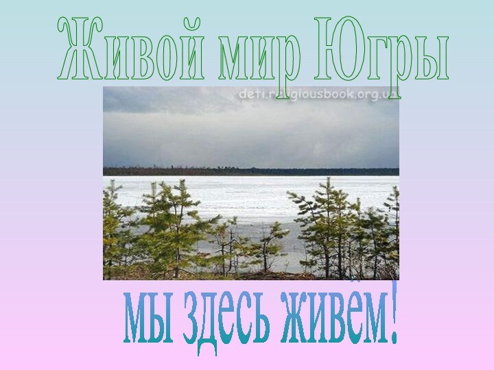 мы здесь живём!Живой мир Югры