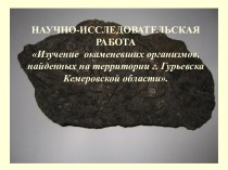 Изучение окаменевших организмов, найденных на территории г. Гурьевска Кемеровской области
