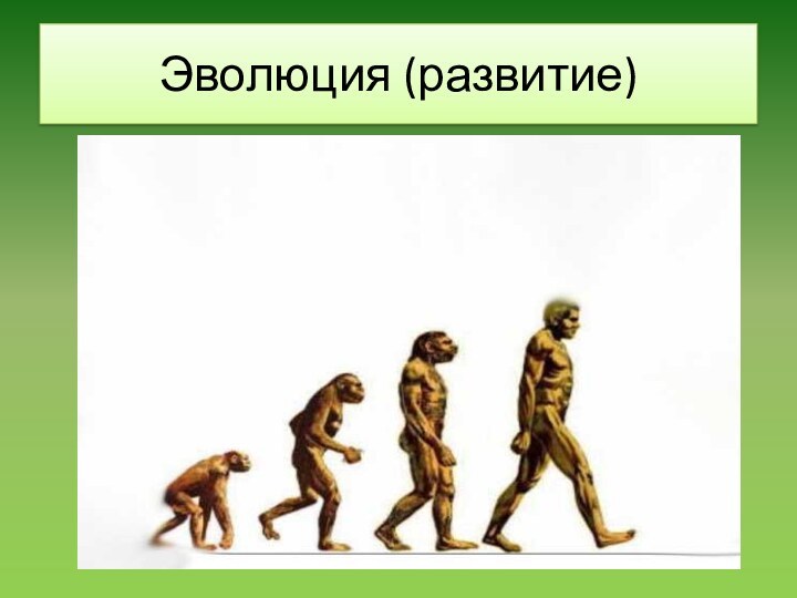 Эволюция (развитие)