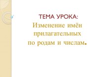 Изменение имён прилагательных по родам и числам