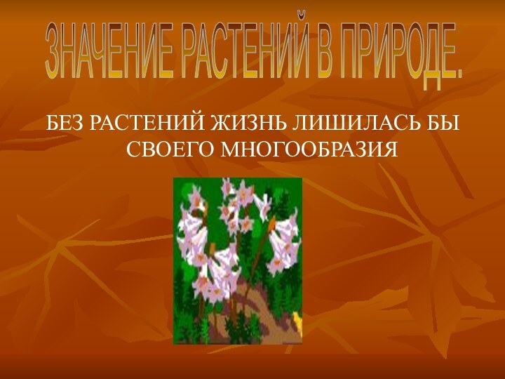 БЕЗ РАСТЕНИЙ ЖИЗНЬ ЛИШИЛАСЬ БЫ СВОЕГО МНОГООБРАЗИЯЗНАЧЕНИЕ РАСТЕНИЙ В ПРИРОДЕ.