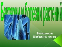 бактерии и болезни растений