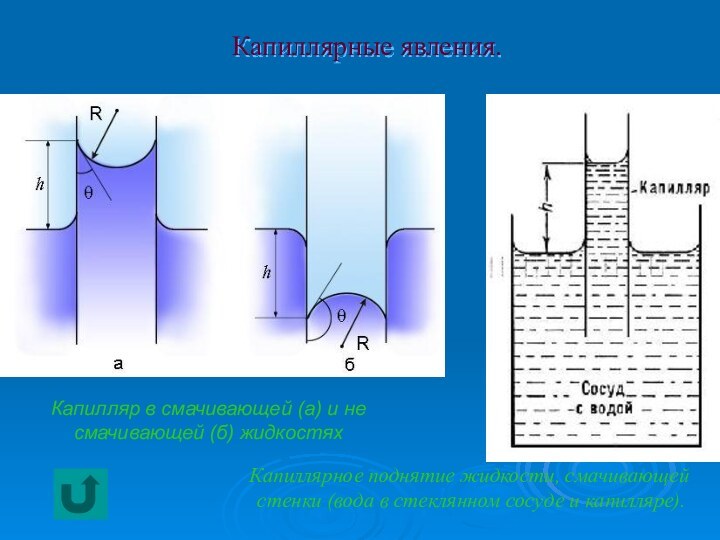 Капиллярные явления.                                                             Капиллярное поднятие жидкости, смачивающей стенки (вода в стеклянном сосуде и капилляре).