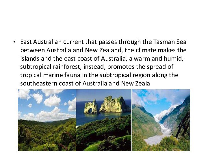 East Australian current that passes through the Tasman Sea between Australia and