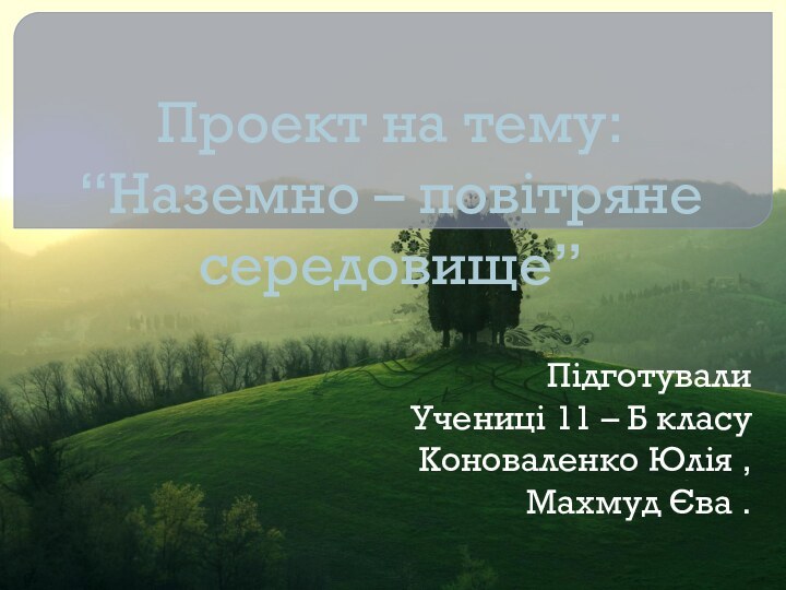 Проект на тему: “Наземно – повітряне середовище” Підготували Учениці 11 – Б