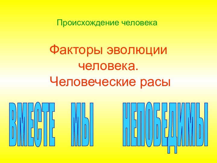 Факторы эволюции человека.  Человеческие расы Происхождение человекаВМЕСТЕ   МЫ