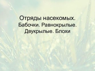 Отряды насекомых. Бабочки. Равнокрылые. Двукрылые. Блохи