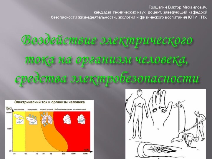 Гришагин Виктор Михайлович, кандидат технических наук, доцент, заведующий кафедрой безопасности жизнедеятельности, экологии