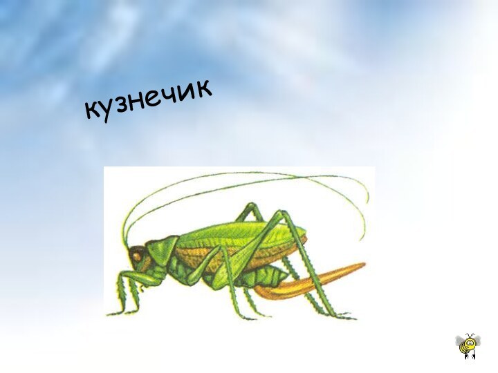 кузнечик