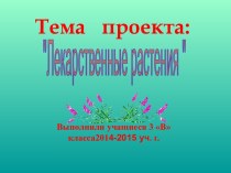 Лекарственные травы