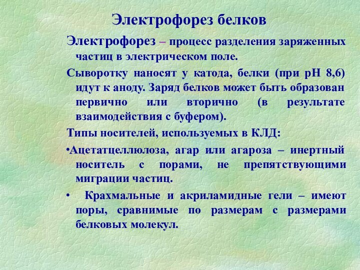 Электрофорез белковЭлектрофорез – процесс разделения заряженных частиц в электрическом поле.Сыворотку наносят у