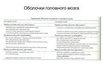 Оболочки головного мозга