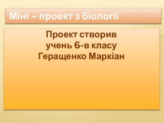 Міні – проект з біології