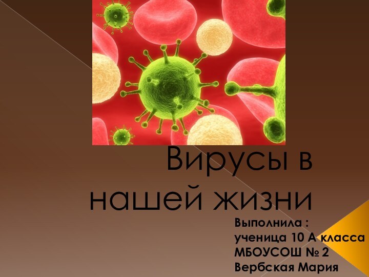 Вирусы в нашей жизниВыполнила :ученица 10 А класса МБОУСОШ № 2 Вербская Мария