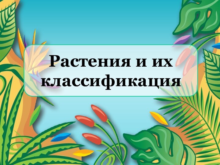 Растения и их классификация