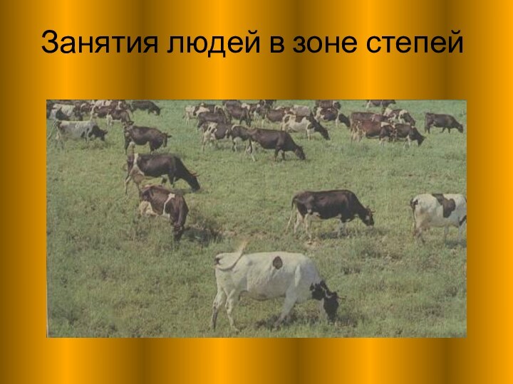 Занятия людей в зоне степей