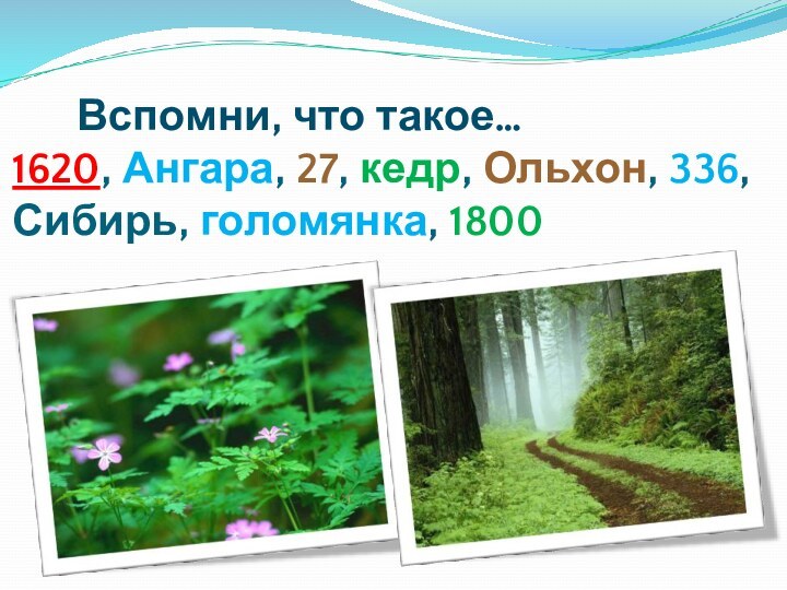 Вспомни, что такое… 1620, Ангара, 27, кедр, Ольхон, 336, Сибирь, голомянка, 1800