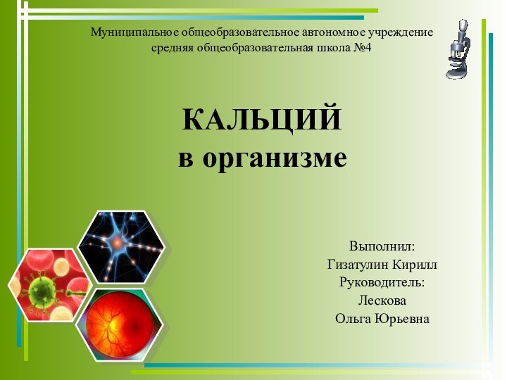 Муниципальное общеобразовательное автономное учреждение  средняя общеобразовательная школа №4