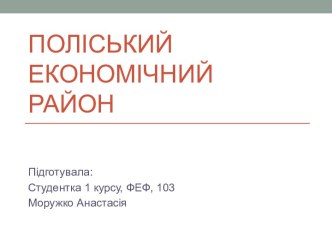 ПОЛІСЬКИЙ ЕКОНОМІЧНИЙ РАЙОН