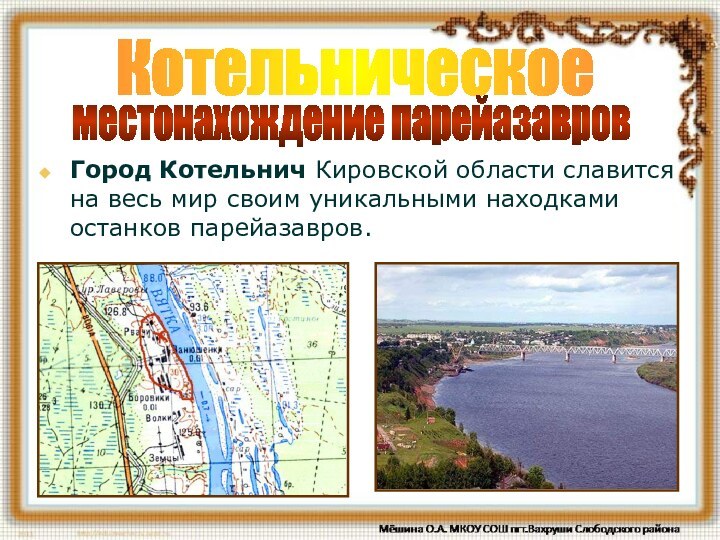 Котельническоеместонахождение парейазавровГород Котельнич Кировской области славится на весь мир своим уникальными находками останков парейазавров.