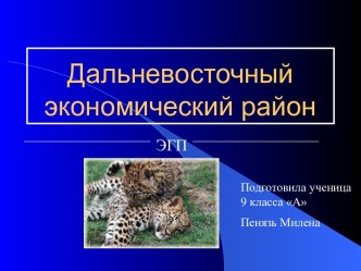 Дальневосточный экономический район России