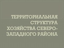 Территориальная структура хозяйства Северо-западного района