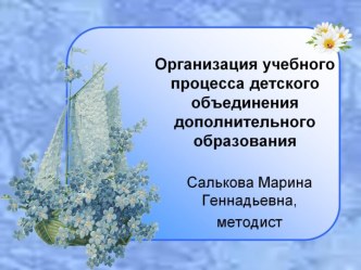 Организация учебного процесса детского объединения дополнительного образования