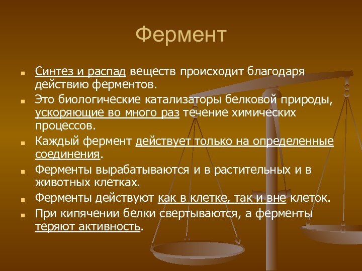 Фермент Синтез и распад веществ происходит благодаря действию ферментов.Это биологические катализаторы белковой