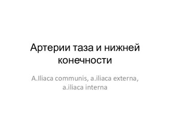 Артерии таза и нижней конечности