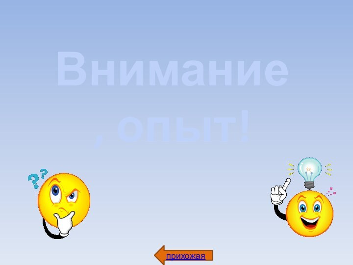 Внимание, опыт!прихожая