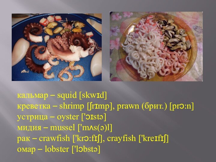 кальмар – squid [skwɪd]креветка – shrimp [ʃrɪmp], prawn (брит.) [prɔ:n]устрица – oyster