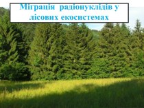 Міграціярадіонуклідів у лісовихекосистемах