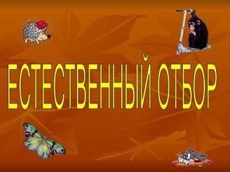 Естественный отбор