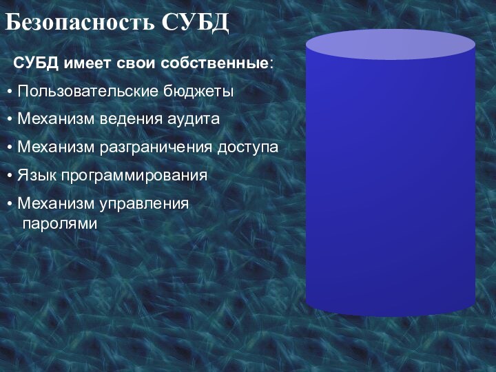 Безопасность СУБДСУБД имеет свои собственные: Пользовательские бюджеты Механизм ведения аудита Механизм разграничения