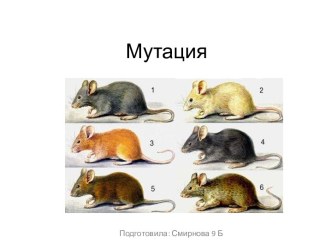 Мутация