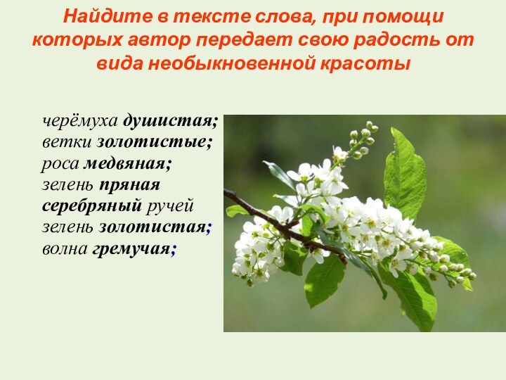 Найдите в тексте слова, при помощи которых автор передает свою радость от