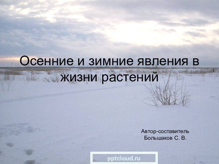 Осенние и зимние явления в жизни растенийАвтор-составительБольшаков С. В.