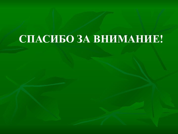 СПАСИБО ЗА ВНИМАНИЕ!