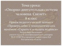 Опорно-двигательная система человека