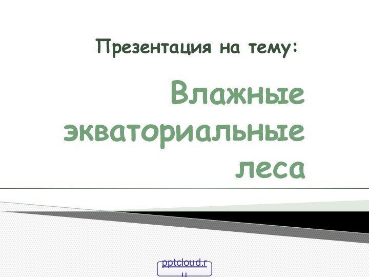 Влажные экваториальные леса Презентация на тему: