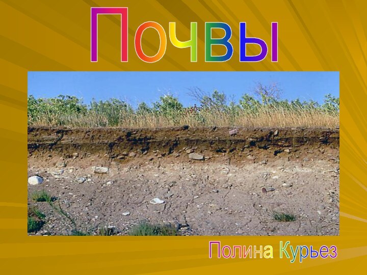 ПочвыПолина Курьез