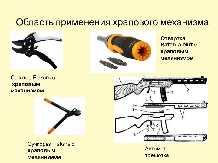 Область применения храпового механизмаСучкорез Fiskars с храповым механизмомОтвертка Ratch-a-Nut с храповым механизмом