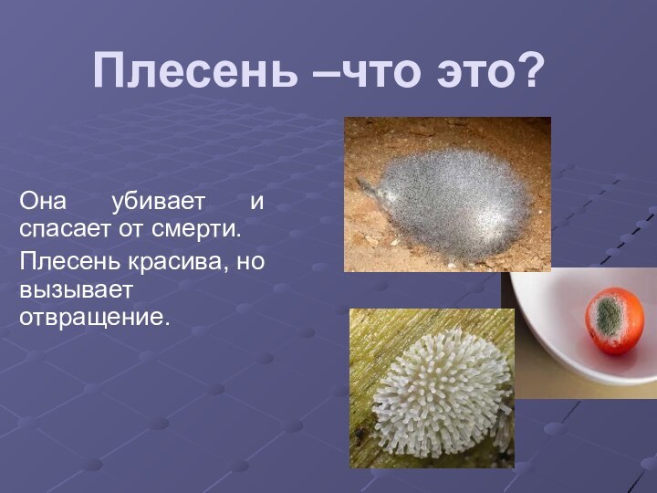 Плесень –что это? Она убивает и спасает от смерти.Плесень красива, но вызывает отвращение.